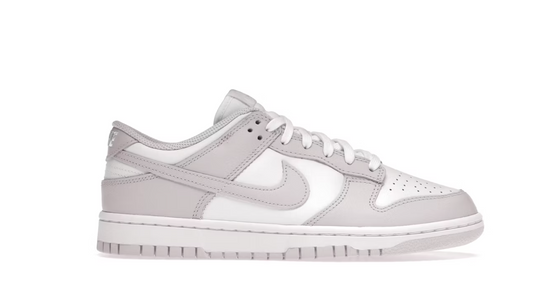 Nike Dunk Low Venice (W)